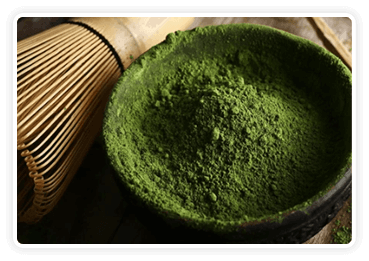 Green Tea Extract ingredient Citrus Burn USA