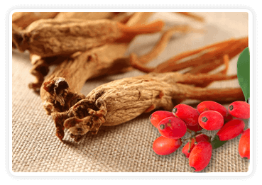 Korean Red Ginseng ingredient Citrus Burn
